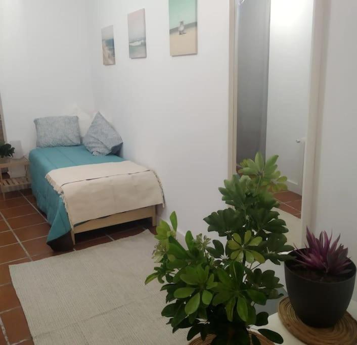 Simpatico Con Piscina Privada Y Vistas * Sauzal